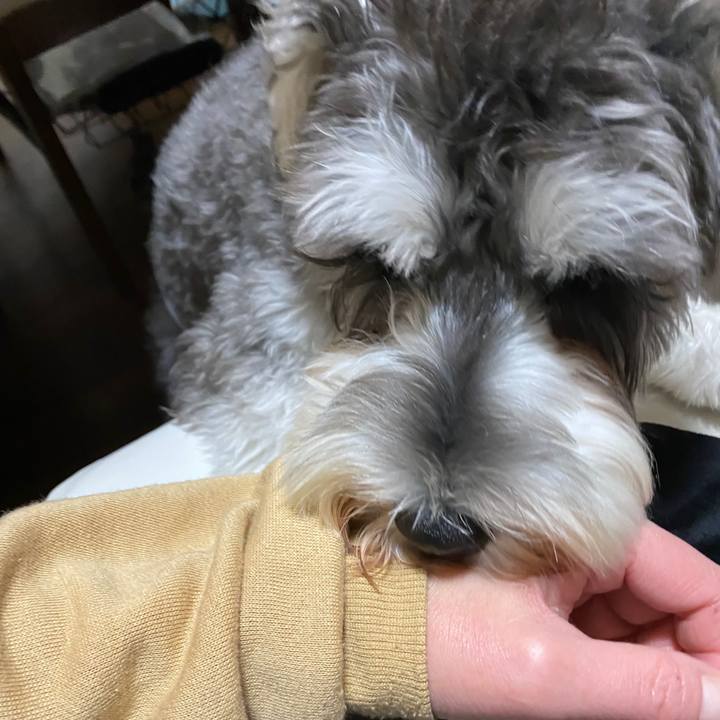 16fc25c1 0f4a 4b12 b315 a54260a7641c 1576675686145