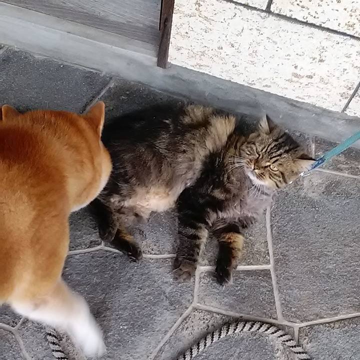 16fc4303 9af8 494d 8759 3d79e7d366ad 1629762865911