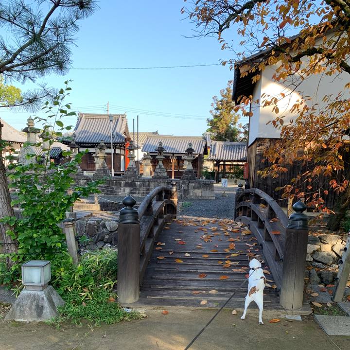 16fc6aac 81d3 4b3c 82e8 2cf9d251b65e 1605311657507