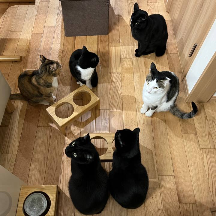 16fd1036 7570 4365 ac38 61f363cee02d 1643586635415