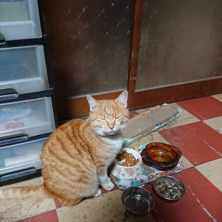 16fd2572 f548 48b6 95b1 7f74892675fd 1579683208067