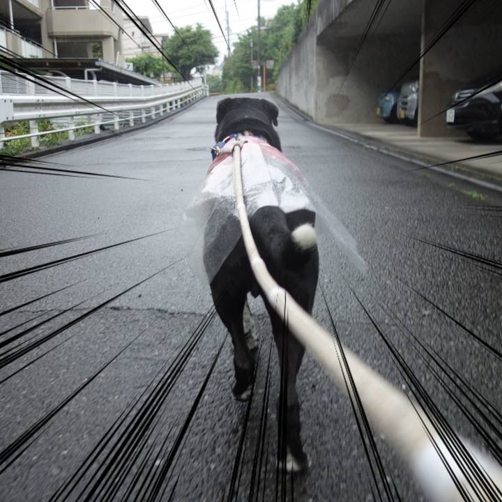 16fd3804 5f81 4628 ac3c 2abf43f276ca 1653955131610