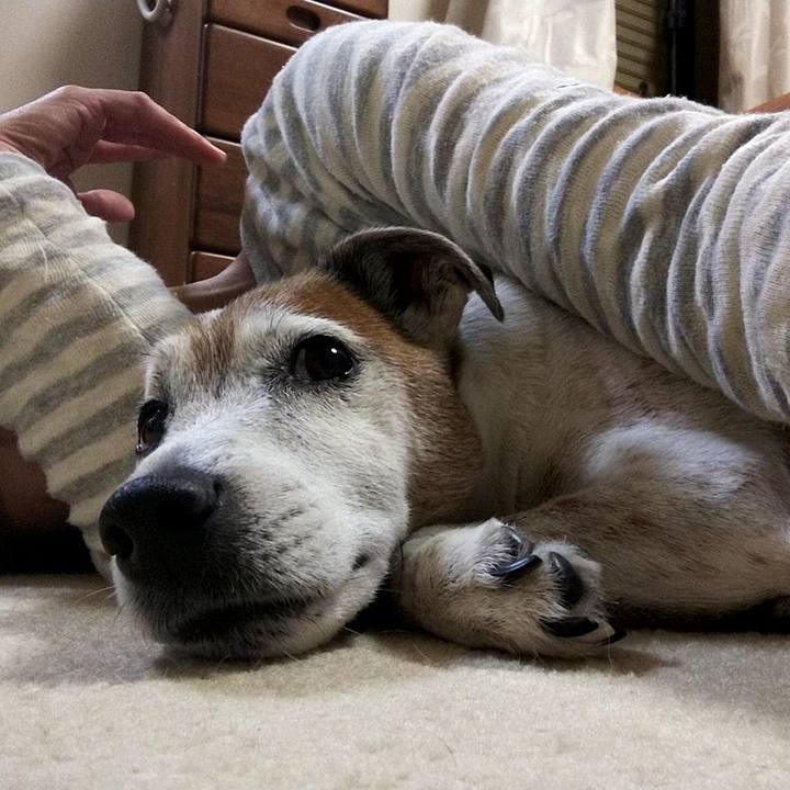 16fd3f1b 7d8a 4d1b af48 6c678e04af09 1545921383338