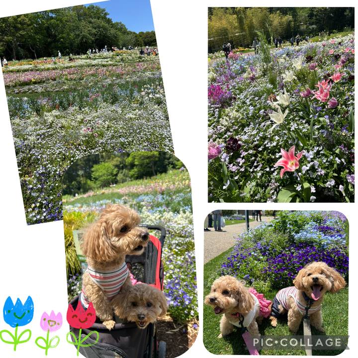 16fd5e5c 6323 44b1 a170 262fea61a940 1745743381413