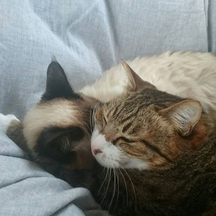 16fd8d6d d7e8 408f a7a2 eece89b3c527 1523523968964