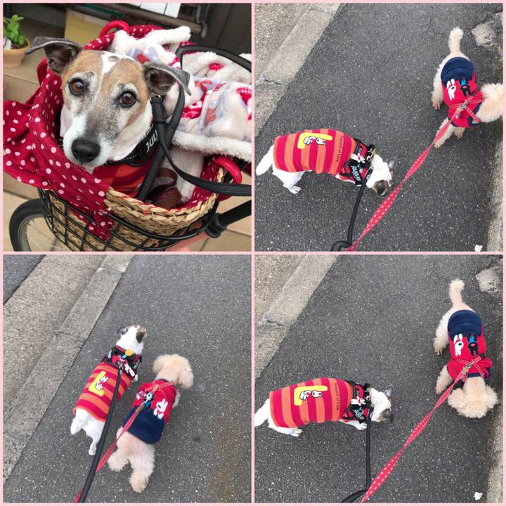 16fdb075 631b 4a74 bd7b 662196bfd05b 1523946966050