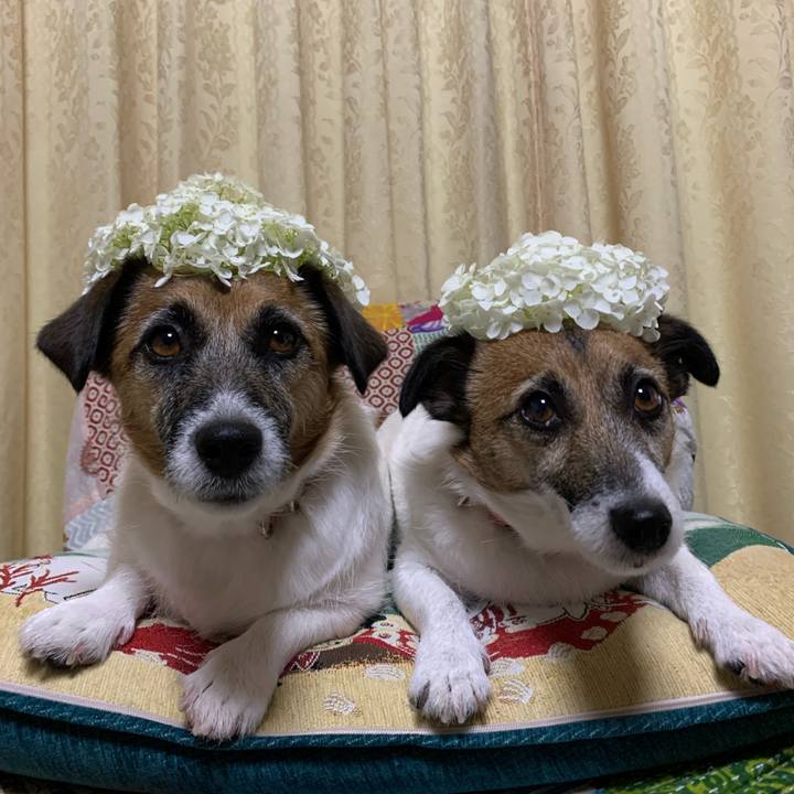 16fdb819 b588 4212 9609 f1a2b4ad21b8 1654950871902