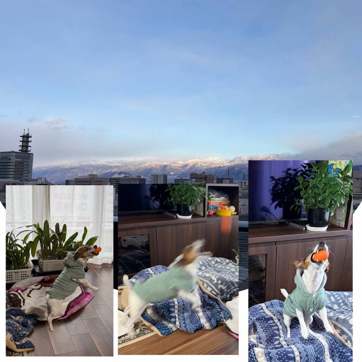 16fddcf9 0dac 4212 aa35 d21e6e15c7b9 1769076255776