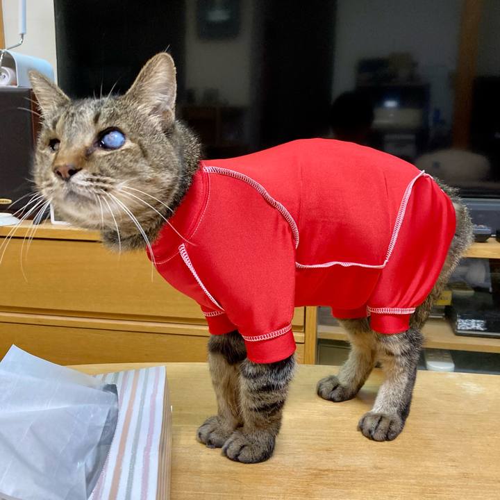 16fde716 7b55 4d1d bfd5 e73e46d80f1d 1683882939895