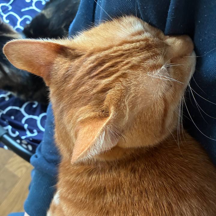 16fdebfc 1ed0 40b8 afd2 02fb9e029e48 1763420210203