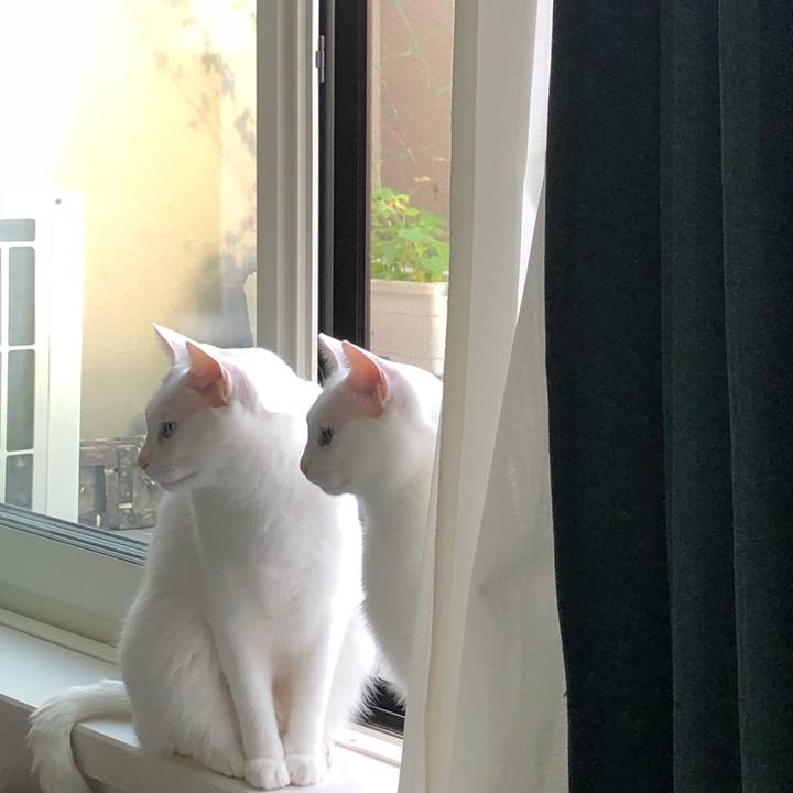 16fdee4e 4eba 4489 8ffd e93509d4b387 1537950104984