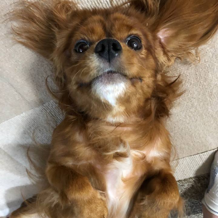 16fe046e 61a7 4ecc b4d0 f2a0ac4a96ef 1567513203822