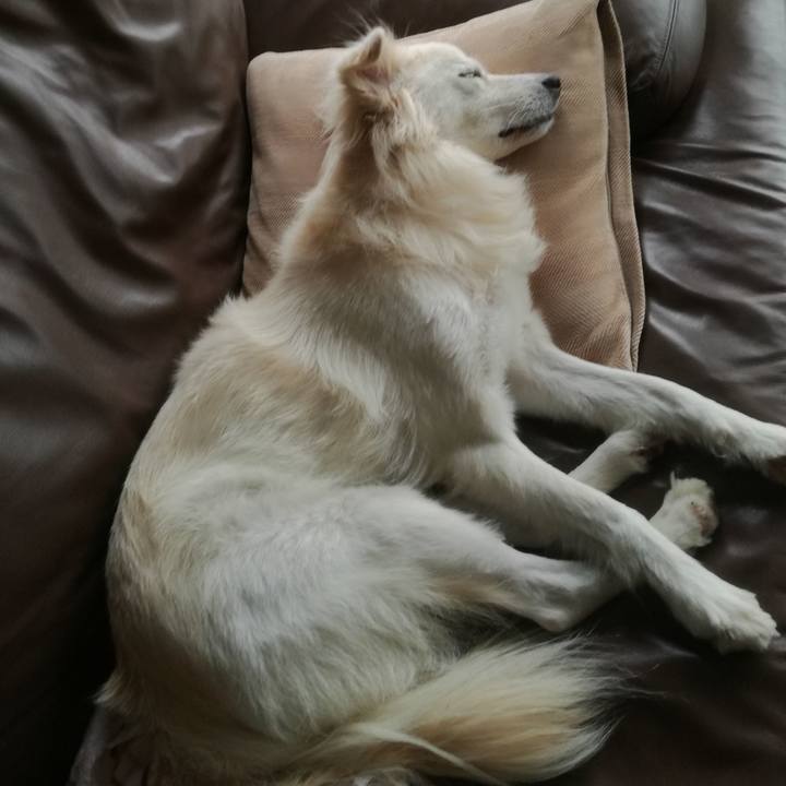 16fe1ff6 81e3 42b4 981b 17472f8b5a8e 1508222282682