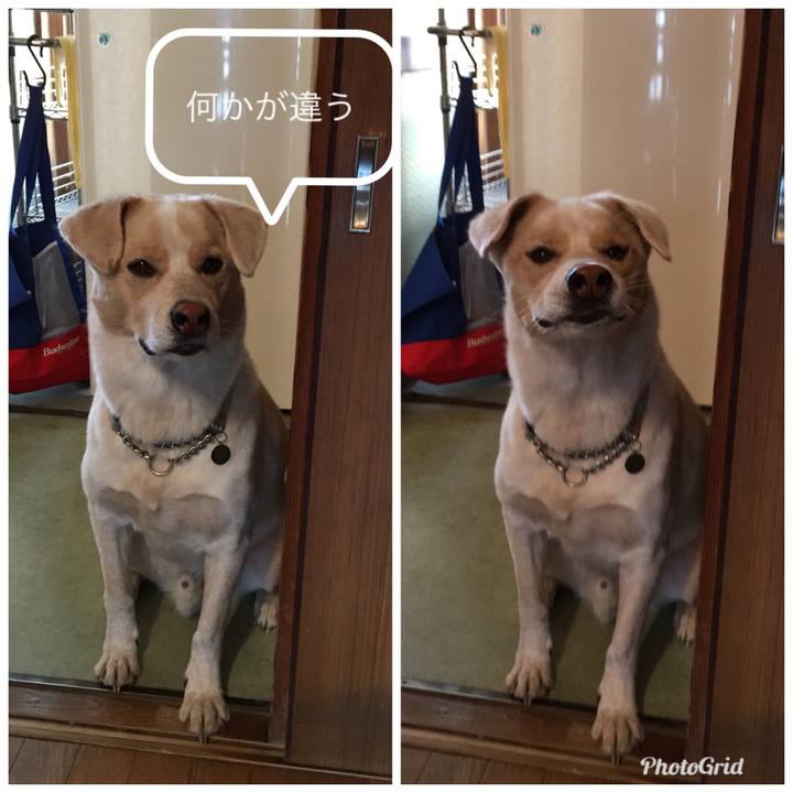 16fe25de 4eab 4f98 a00c 998f41c2ab2b 1538958685371