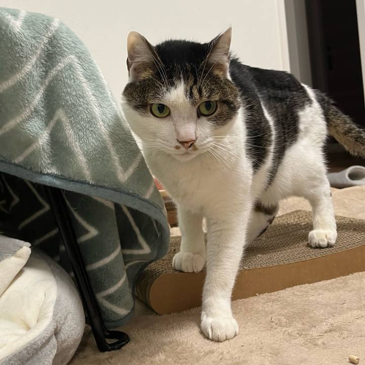 16fe2b00 b38c 48c5 b318 5a90625ac025 1766188474571