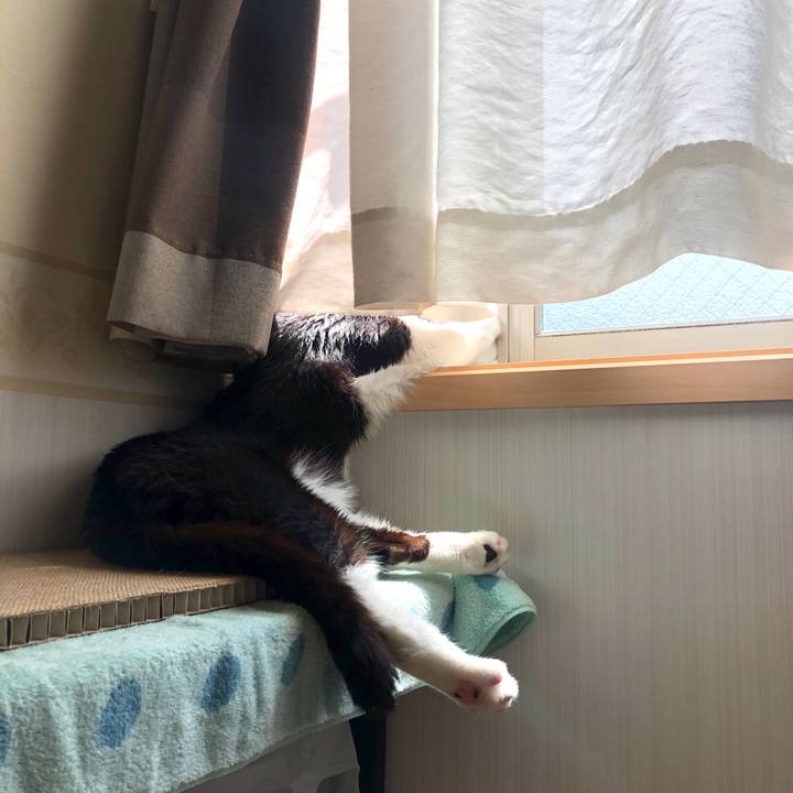 16fe6f90 3b73 45d9 a3b0 b23a58b34a74 1593843932107