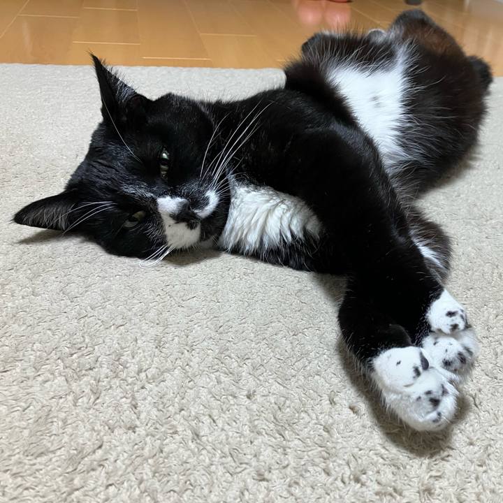 16fe7e34 5800 40cc 8df1 cea8cbe583f3 1759808733598