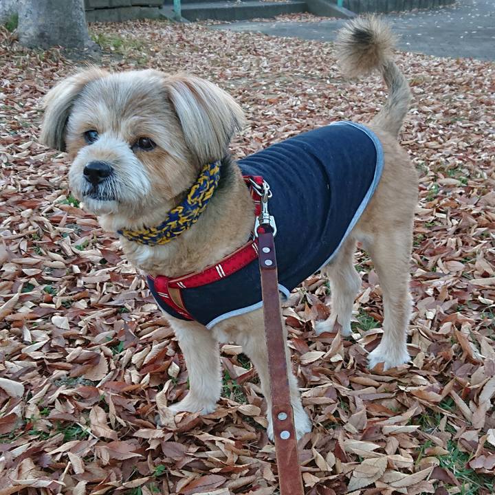 16fea0e4 286f 4a44 8f0f 0337a2330d74 1605343711360