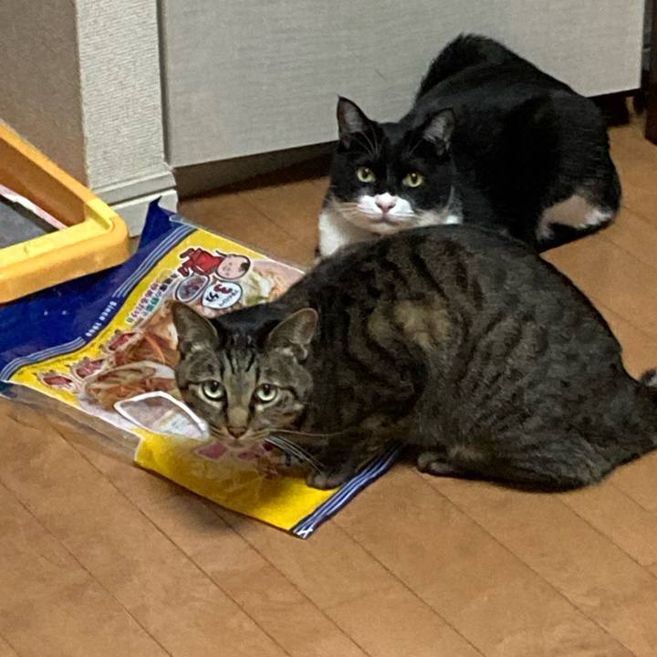 16fea6c7 12e2 405a 9120 b941b6643dc8 1639537765960