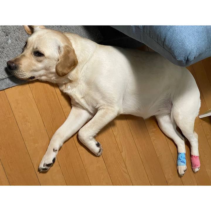 16feb558 e3d9 4b03 9f40 c25140cab7d4 1648475940361