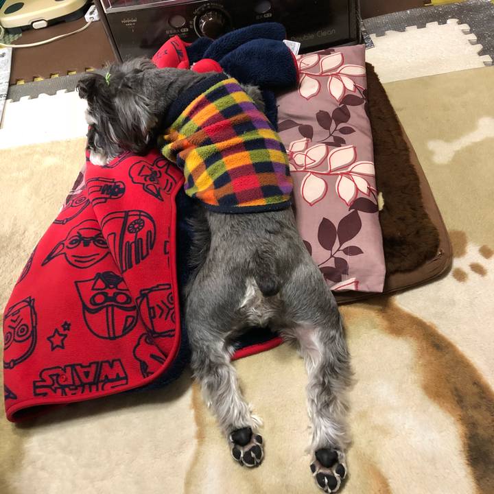 16febb02 da30 4eea 9271 519b4209d8ab 1518233189391