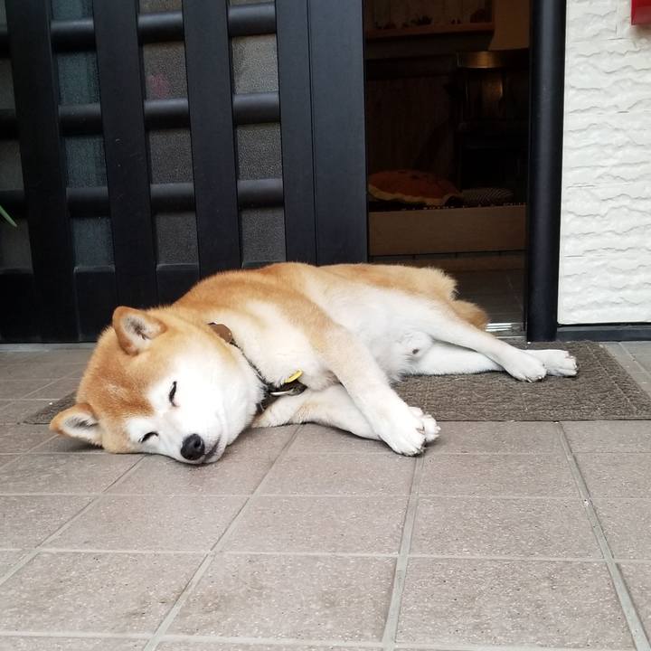 16fed757 e47c 4861 8d27 e03c851e1a56 1621847716662