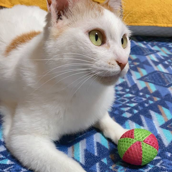 16ff51e7 17f6 4933 a332 2e843c21098e 1590309507817