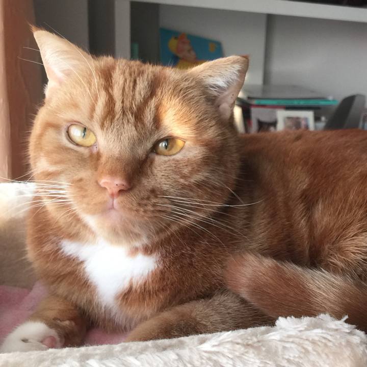 16ff6044 6821 4111 9e66 00bc874a2c90 1551744060160