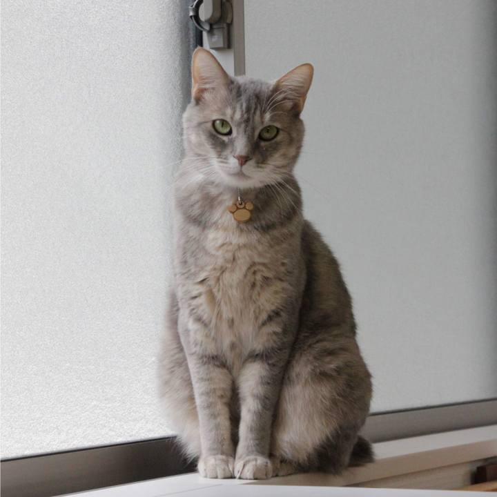 16ffc86e 358c 4451 9a66 5356037e6121 1586922854529