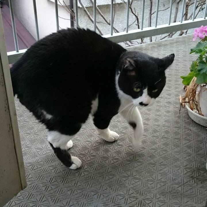 16fff5f9 7c93 4cf4 9fef 5bc5e72dbb80 1521774033731