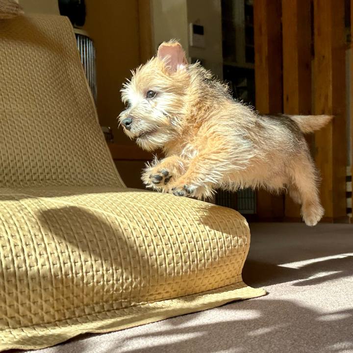 17000acb 62f8 43ac 81d9 03d8a0731769 1704021876194