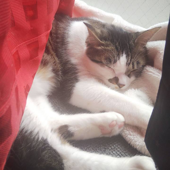 170049da e117 487c 8cce 145683b3bba7 1647138586152