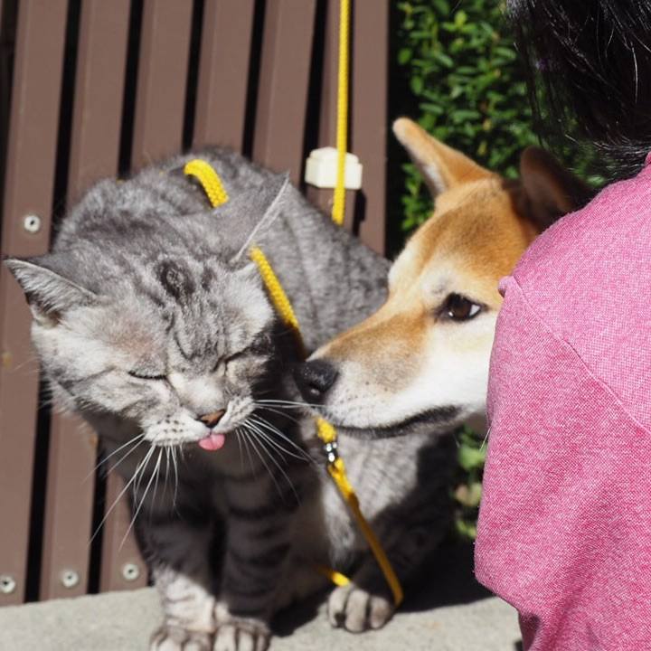 17008351 8a37 433b be21 a9d5f1c07d6c 1567865045676