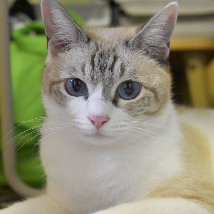 1700d7fd c7c3 4620 84af 429a35eda1e2 1537006232837