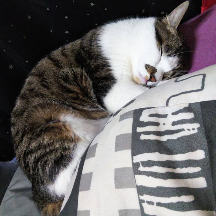 1700e283 edb0 4728 908e b897ad426fd5 1634859840474