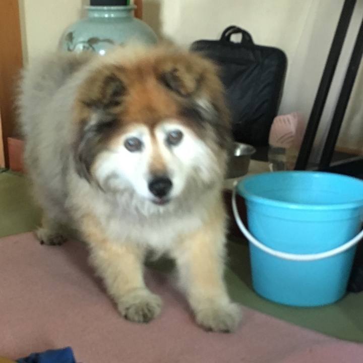 1700f485 de44 4d88 b4b9 0217ef159b50 1592618967359