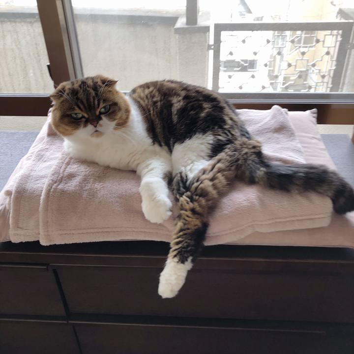 17010774 eed6 4bd1 8d60 d7554a795e34 1550075331688