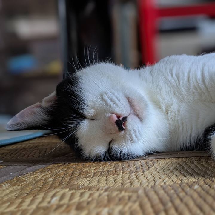 17016cec 3559 4b17 a94a 6b73aa41f6d0 1754666012652