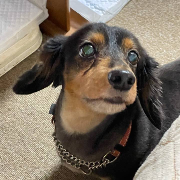 17016f08 153c 44d6 9f7e e1842623e45b 1625521849919