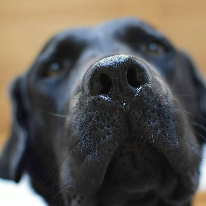 17019446 1b75 499e a122 d730229f7545 1523534841062