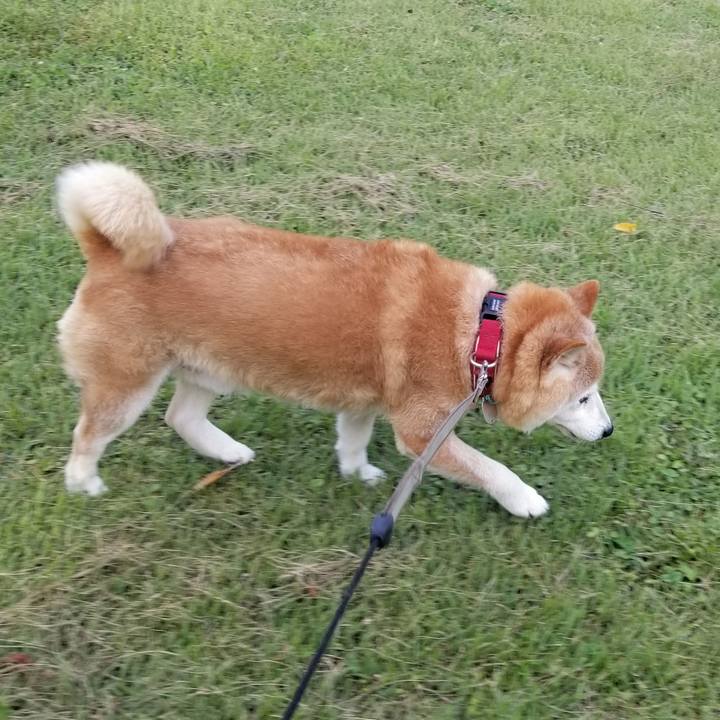 17019515 3273 4457 99b1 ae0b197b57f7 1720340868497