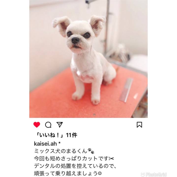 1701a210 2871 4075 a11f 599f5bbe8e21 1663732186582