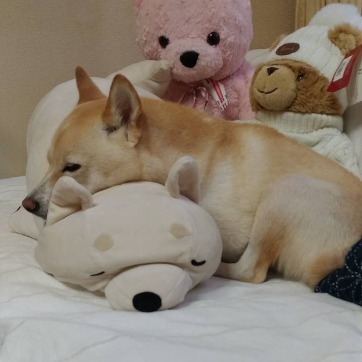 1701a72f 2fff 48a3 bb9a a0c22ca801bc 1569827715193