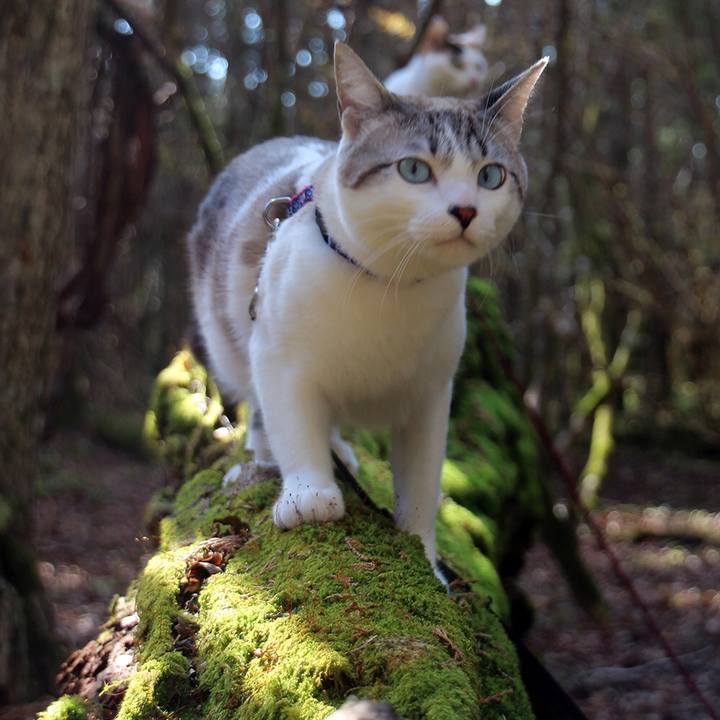 1701b355 c020 4879 a706 33c5b659ecbf 1669115009374