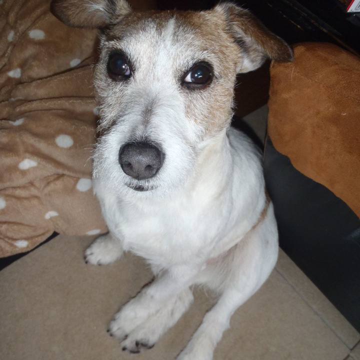 1701ce82 0353 488c ac4a 39605cfd2725 1554895037139