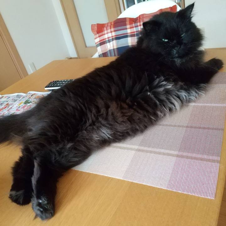 1701df47 5c5f 44b9 abbe 540ba1dbebb6 1687323359453