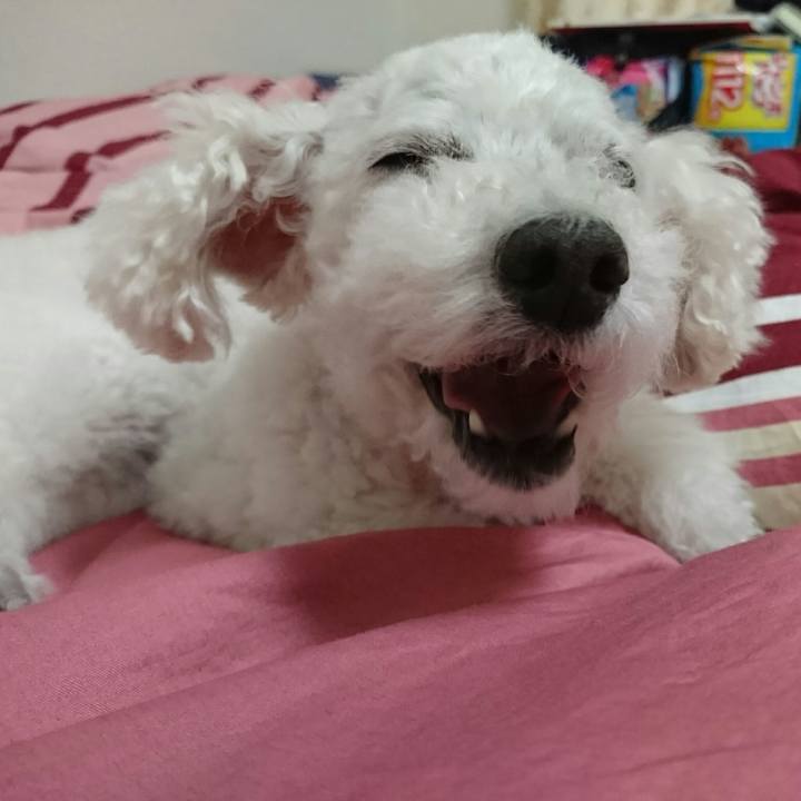 1701f662 5734 4ef2 8a42 e8d8f5c83a60 1558968195827