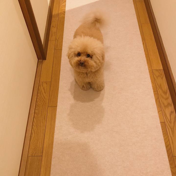 1702206f a3c8 44d7 a7d2 88cfc79d9fdb 1534076022331