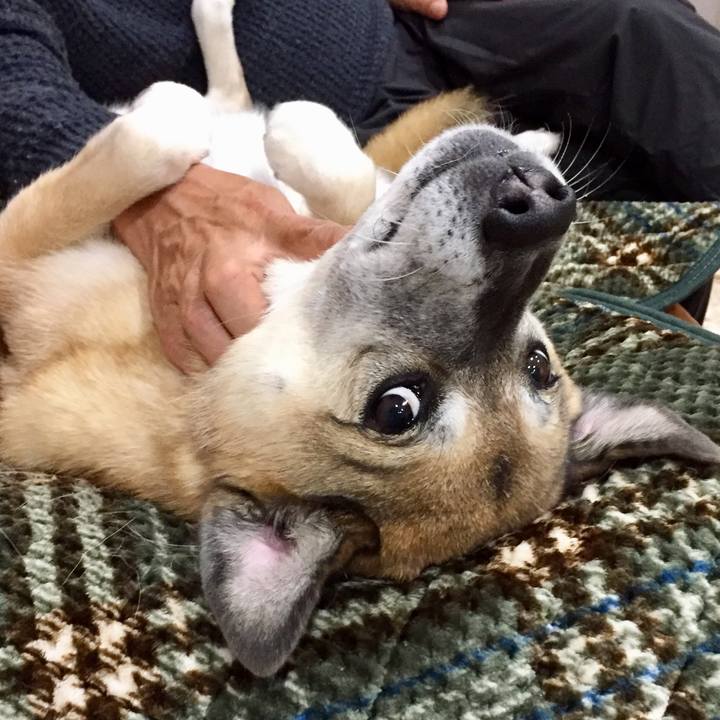 1702936a 227b 4aaa 8f0a 6830213d7632 1575278299895