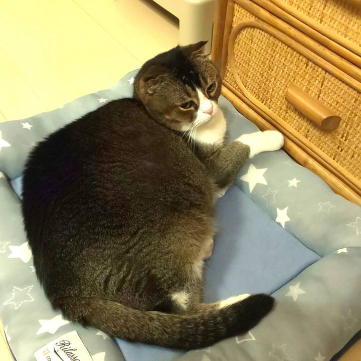 1702a59a 0e35 40bc 819b bd699aa35fcd 1652017611674